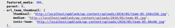 Wordpress Rest API - URL Images